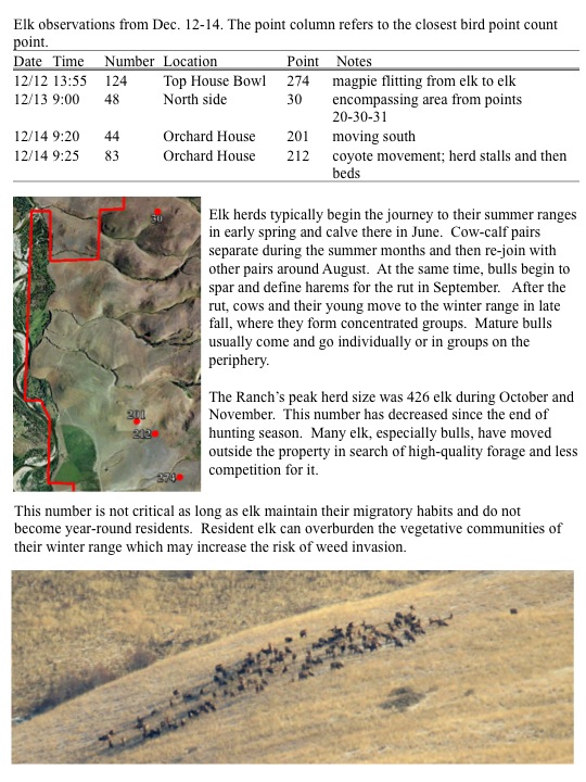 Elk Monitoring Update 12/16/11 MPG Ranch